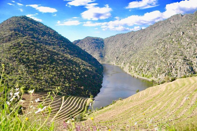 Private Douro Valley - Senses Experiences - Port and table wines: tasting with help, not guesswork