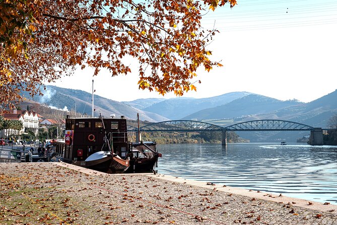 Private Douro Valley Tour: Boutique Winery & River Cruise - Why this private Douro Valley day from Porto feels easier than DIY