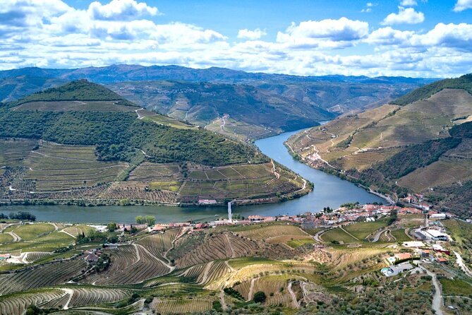 Private Douro Valley Tour: Boutique Winery & River Cruise - Quinta do Cume and boutique winery tastings: where the day gets its backbone