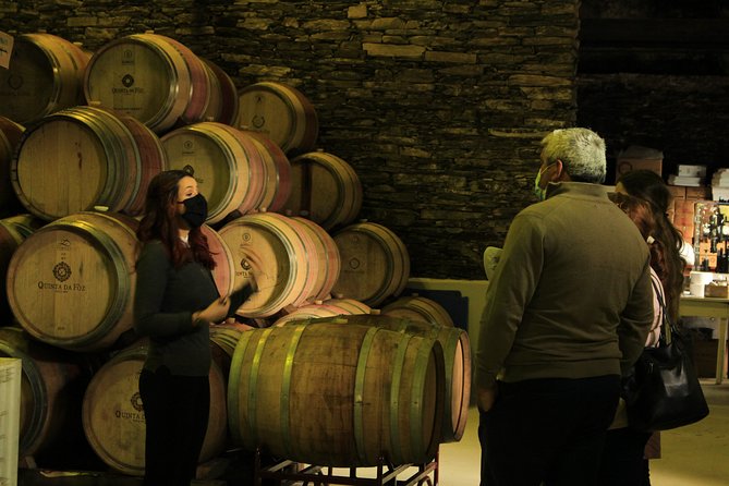 Private Douro Valley Tour from Porto - Wine, Olive Oil, and Honey Tasting: More Than Just Samples