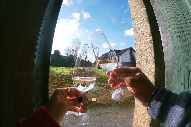 Private Douro Valley Tour from Porto - Lunch Included: Fish, Iberian Pork, or Vegetarian