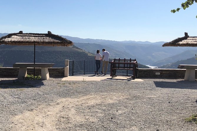 Private Douro Valley Tour from Porto - Comfort, Group Feel, and What to Expect From the Driver