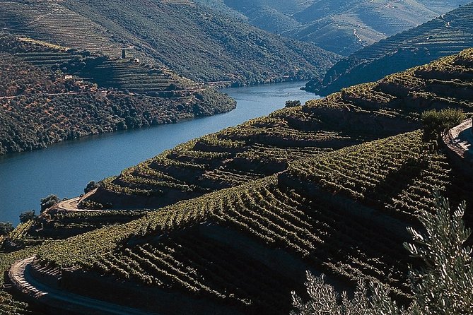 Private Douro Valley Tour Includes Wine Tasting and Boat Tour - Private Douro Valley from Porto: How the Day Fits Together