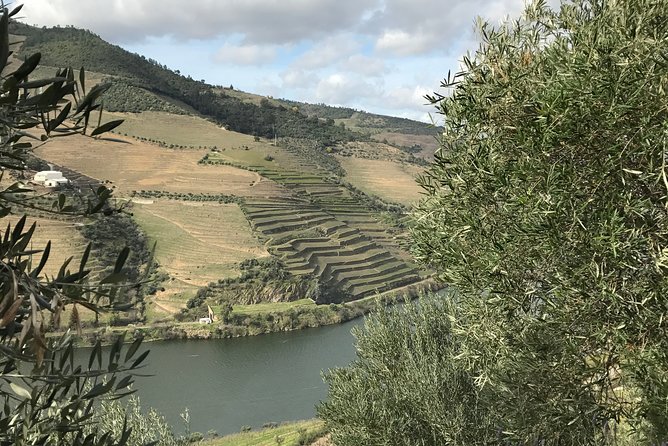 Private Douro Valley Tour Includes Wine Tasting and Boat Tour - Casal de Loivos Viewpoint Stop: Quick Time, Big Views