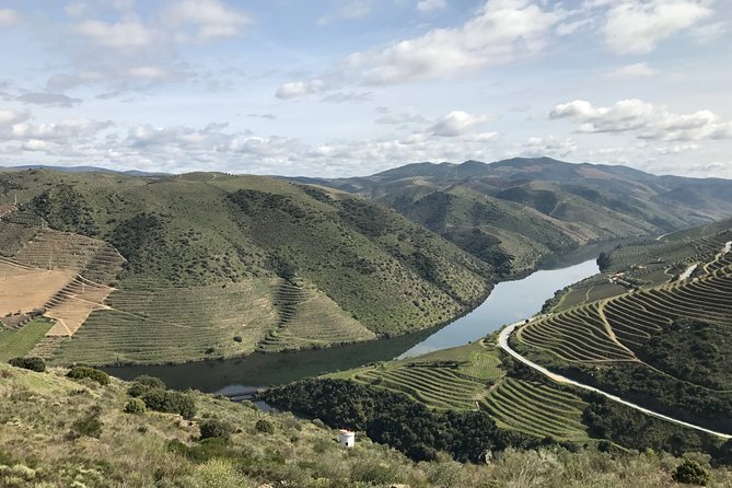 Private Douro Valley Tour Includes Wine Tasting and Boat Tour - Price and Value Check: What You’re Really Paying For
