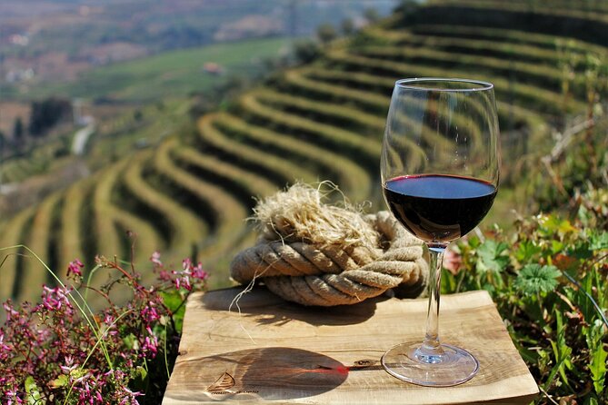 Private Douro Valley Tour Including 3 Wineries - Key highlights to know before you go