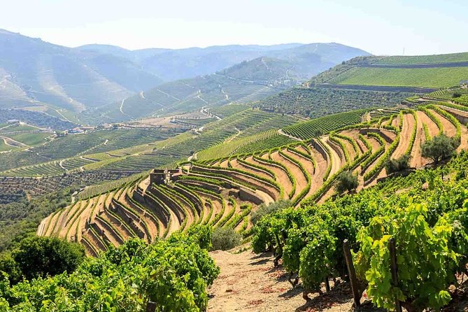 Private Douro Valley Tour Including 3 Wineries - Why swap Porto for the Douro Valley in one guided day?