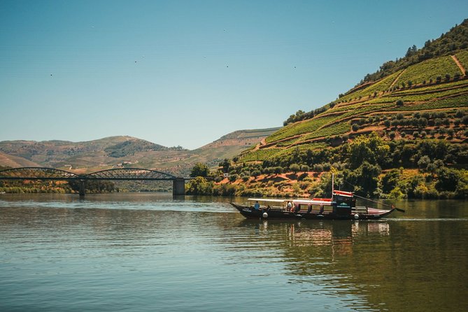Private Douro Valley Tour Including 3 Wineries - Quinta do Tedo: cellar visit, history, and a wine + olive oil tasting
