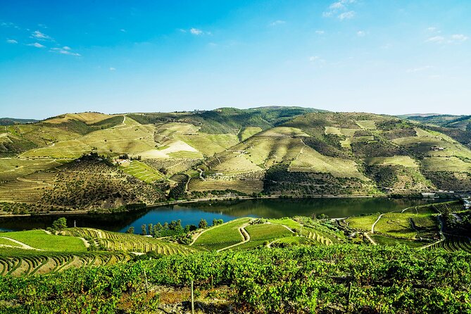 Private Douro Valley Tour Including 3 Wineries - Lunch in Pinhão plus an optional 1-hour river cruise