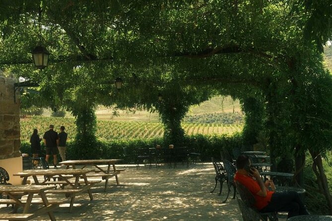 Private Douro Valley Tour with Lunch & Wines - Pinhão after lunch: timing for views, plus your chance to choose extras