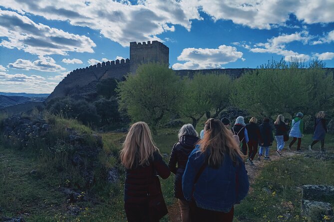 Private Douro Valley Tour with Sommelier, Lunch and Wine Tasting - Timing, comfort, and small logistics that matter