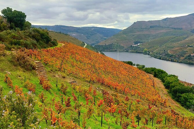 Private Douro Valley UNESCO Wine Tour from Porto with Lunch - What makes the tour feel special: the guide and the van setup