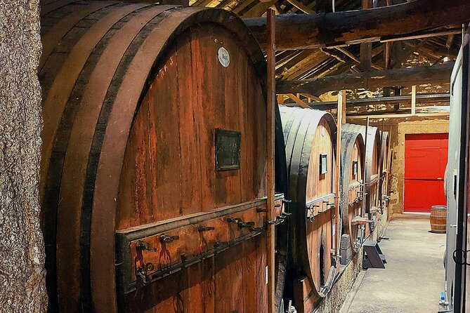 Private Douro Valley UNESCO Wine Tour from Porto with Lunch - Tips for getting the most out of the day