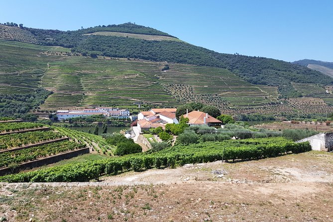 Private Douro Valley visit to three vineyards with Lunch from Porto - Getting Out Of Porto: The 8:30 Pickup And A Long Scenic Day