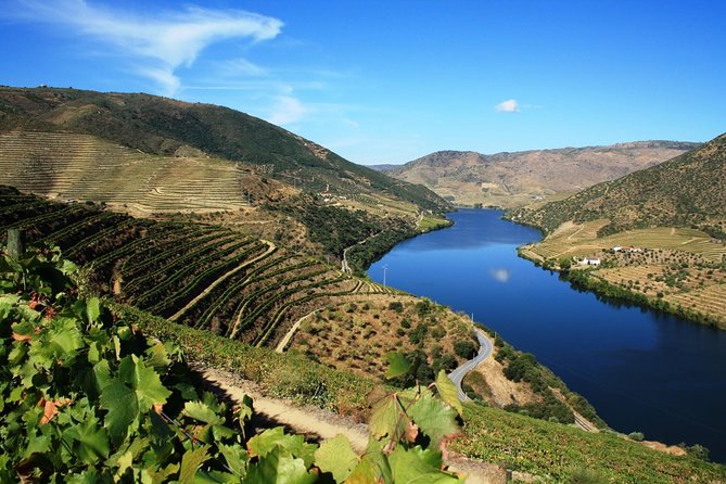 Private Douro Valley visit to three vineyards with Lunch from Porto - The Drive Along National Road 222: Where The Scenery Does the Work