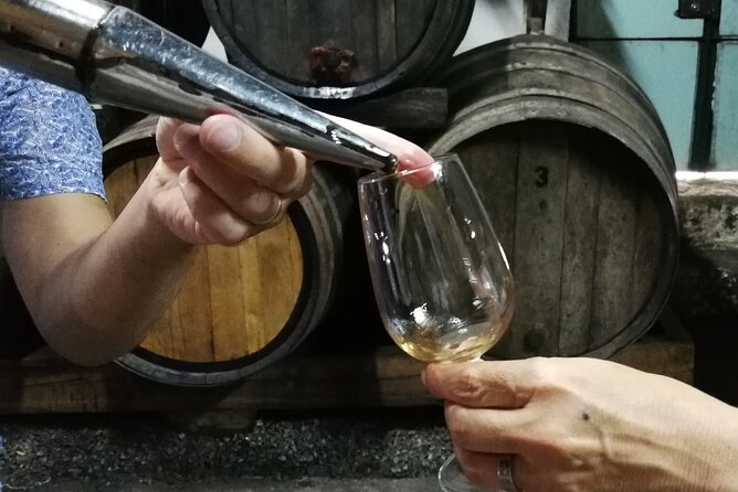 Private Douro Valley Wine Tour - Key highlights worth your attention