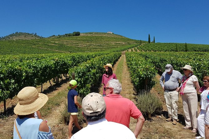 Private Douro Valley Wine Tour: 2 Wine Estates, Lunch and Cruise - Key highlights worth your attention