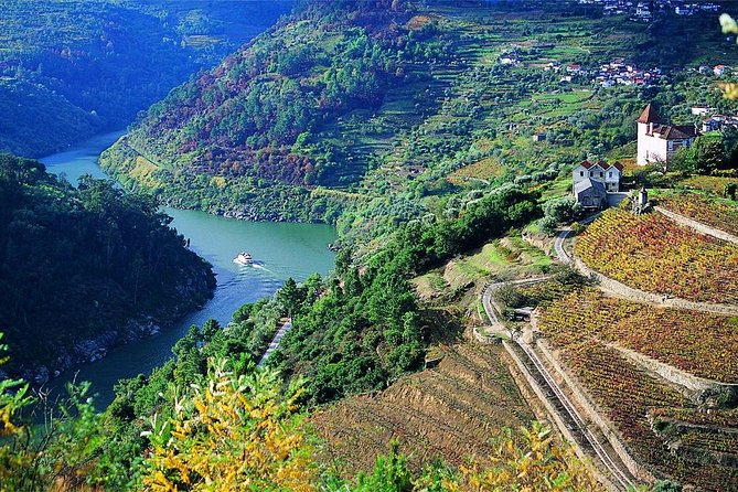 Private Douro Valley Wine Tour: 2 Wine Estates, Lunch and Cruise - Second wine estate tasting: from vineyard to bottle