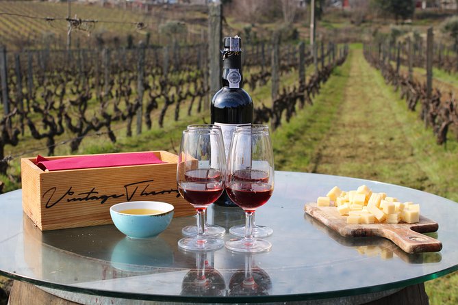 Private Douro Valley Wine Tour: 2 Wine Estates, Lunch and Cruise - Guide quality is the secret ingredient