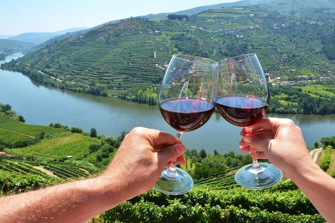 Private Douro Valley Wine Tour: 2 Wine Estates, Lunch and Cruise - Who this private Douro tour fits best