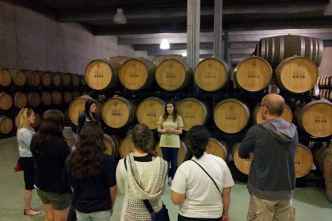 Private Douro Valley Wine Tour: 2 Wine Estates, Lunch and Cruise - Pinhão viewpoint and the Rebelo boat cruise