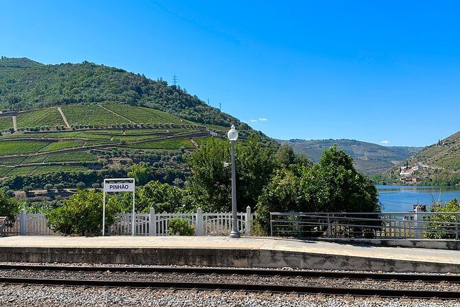 Private Douro Valley Winery Tour and River Cruise w/ Mercedes SUV - A private Douro day, planned like it’s meant to be easy