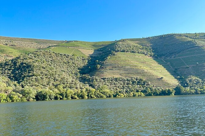 Private Douro Valley Winery Tour and River Cruise w/ Mercedes SUV - Quinta do Bomfim winery tour and wine tasting (what’s included and what may change)