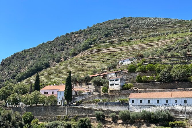 Private Douro Valley Winery Tour and River Cruise w/ Mercedes SUV - The 1-hour Douro River cruise: the calm finale that makes everything click