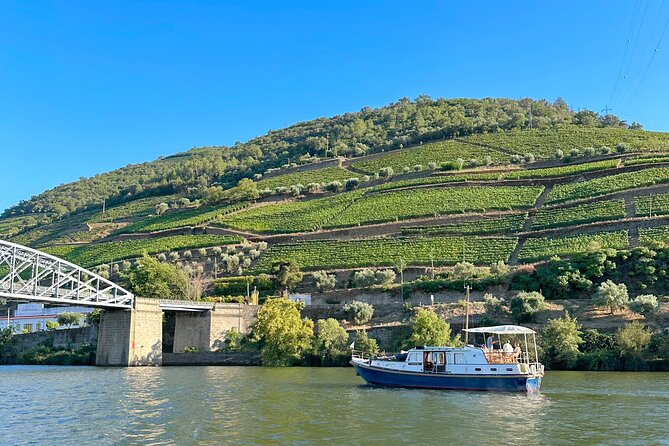 Private Douro Valley Winery Tour and River Cruise w/ Mercedes SUV - Price and logistics: is $235.81 per person good value?