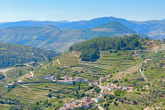 Private Douro Valley Winery Tour and River Cruise w/ Mercedes SUV - Miradouro Torguiano: what you’re really looking for