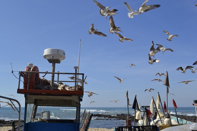 Private Fish Experience with Market-to-table lunch from Porto - Angeiras fishing village: morning context and what you’ll notice