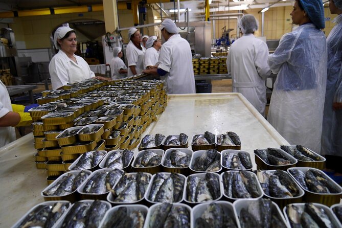 Private Fish Experience with Market-to-table lunch from Porto - Who should book this private fish experience from Porto