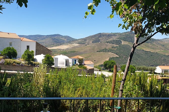 Private full-Day Tour to Douro Valley - Key highlights you’ll feel right away
