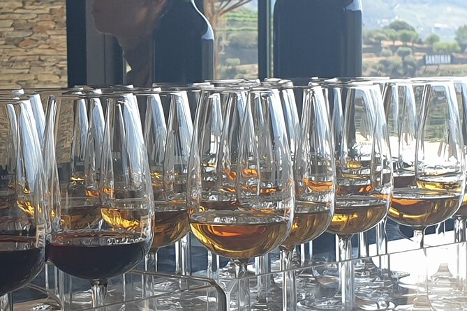 Private full-Day Tour to Douro Valley - From Porto to the Olive Oil Museum: setting the tone early