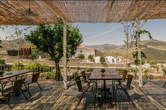 Private full-Day Tour to Douro Valley - Back to Porto: plan your evening like a local