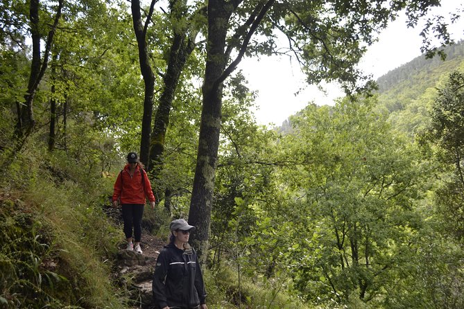 Private Geres National Park Tour with Lunch and Transfers - Private transportation value: what $290.36 buys you