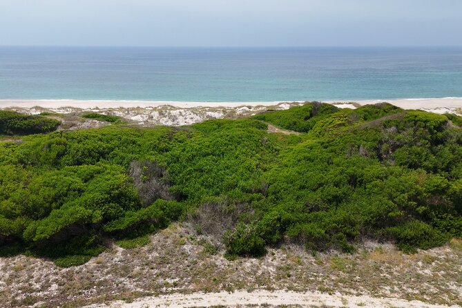 Private Jeep Tour from Oporto - São Jacinto Nature Reserve: Guided Walks Through Real Wetland Life