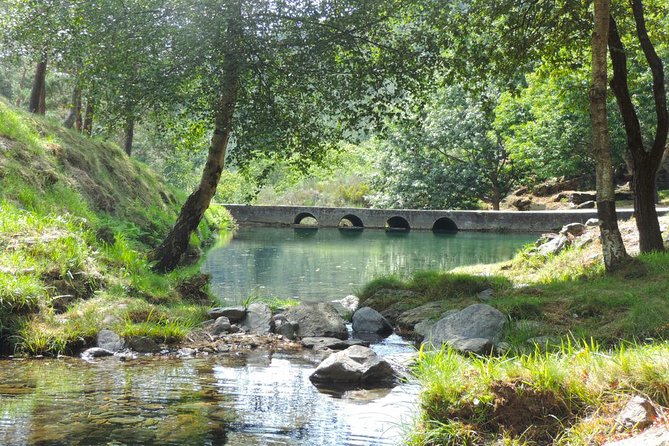 Private Jeep Tour of Marão Nature - Who this Jeep tour is best for (and who might not love it)