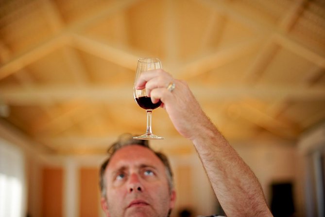 Private off the beaten Douro Valley Wine Tour - Lamego: the Port-focused tasting that rounds out the Douro story