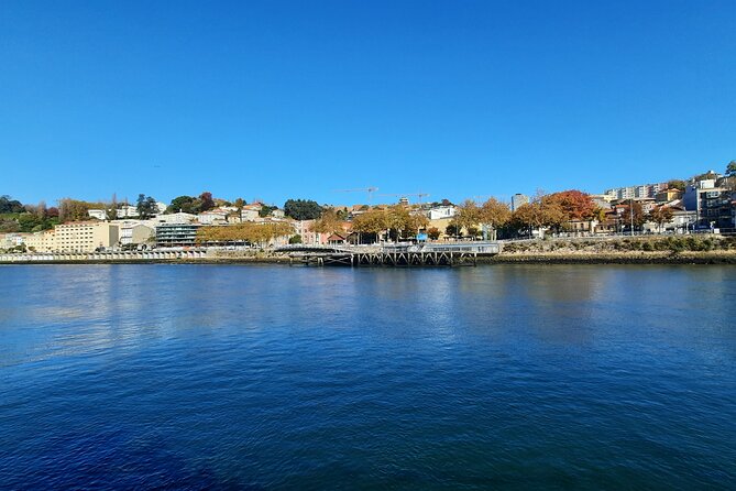 Private Porto City Half Day Tour with River Cruise & Wine Tasting - Wine Tasting on Board: Easy, Guided, and Not Pressure-Filled