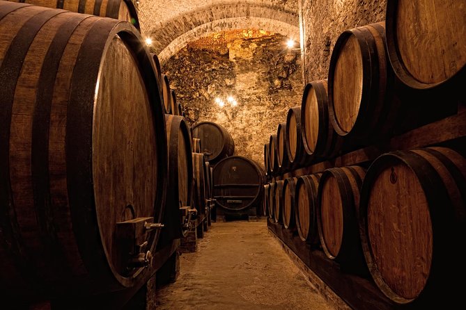 Private Porto Half Day Tour: Port Wine Cellars and Cheese Tasting - English Guidance: Good Communication Matters in Tastings