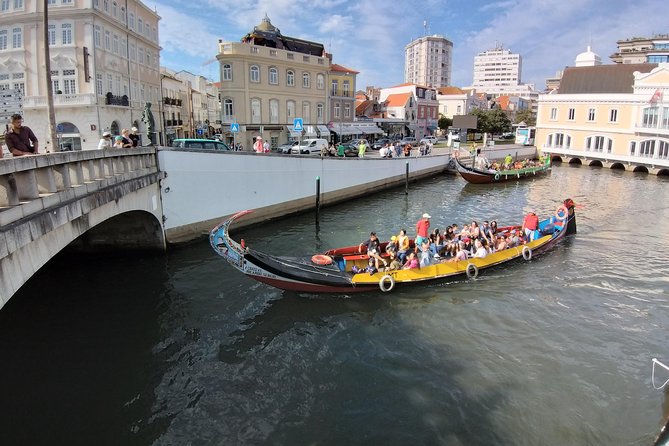Private Porto to Lisbon Tour – Customize Your Journey! - Two Vehicle Sizes and a Driver Who Can Actually Adjust the Day