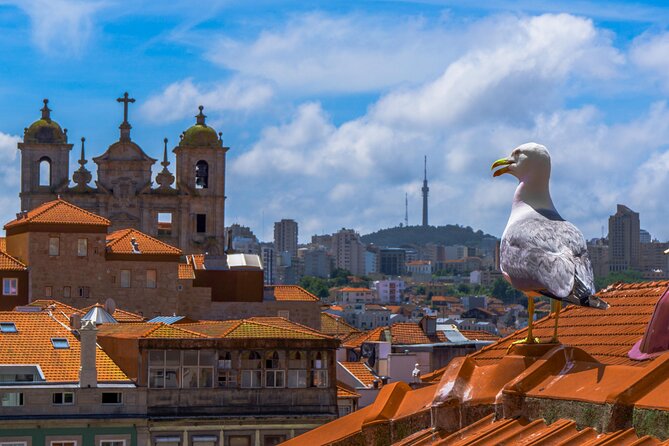 PRIVATE Porto walking tour with historian - São Bento Railway Station: Blue Tile Art With a Purpose