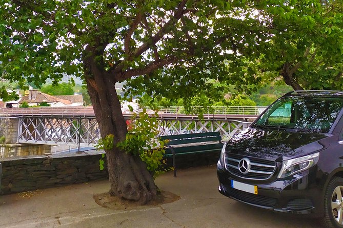 Private Premium Wine Experience through Douro Valley - Pinhão stop 1: guided Quinta tour plus dry and Port tastings