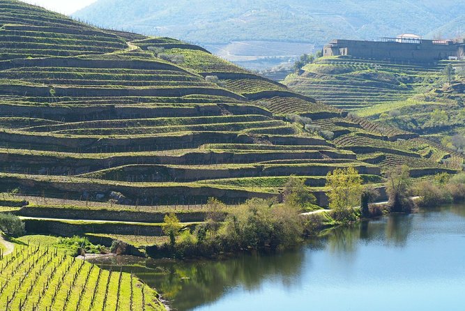 Private Premium Wine Experience through Douro Valley - Bagaúste on the Douro: a private electric boat trip with cocktails and snacks
