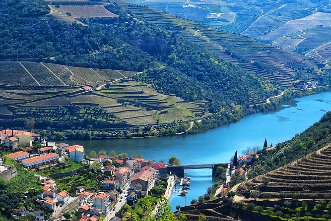 Private Premium Wine Experience through Douro Valley - Price and value: is $733.69 per person worth it?