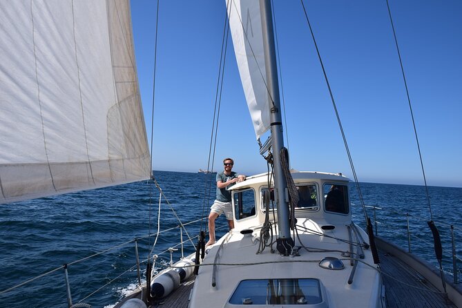 Private Sailing Charter in Porto - How you shape your sailing route from Douro Marina