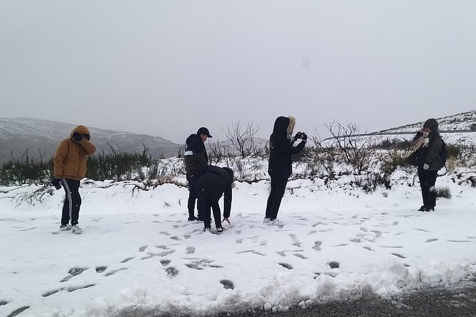 Private Serra da Estrela Gastronomy & Snow Tour from Porto - The luxury-vehicle part: not fancy for show, just useful