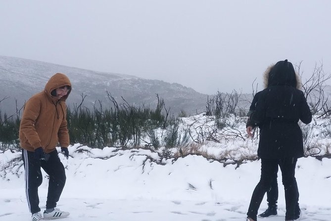 Private Serra da Estrela Gastronomy & Snow Tour from Porto - Pinhancos: hand-made Serra cheese starts with people, not factories