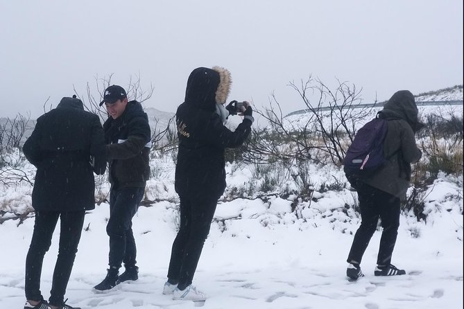 Private Serra da Estrela Gastronomy & Snow Tour from Porto - Seia’s Bread Museum: why bread belongs on a mountain itinerary